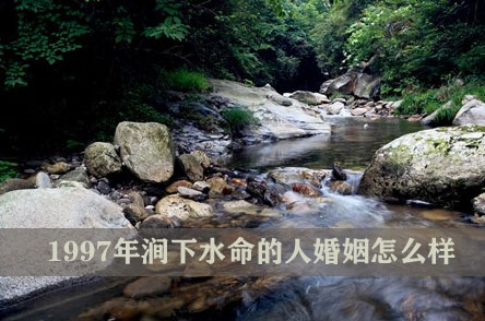 1997年涧下水命的人婚姻怎麽样