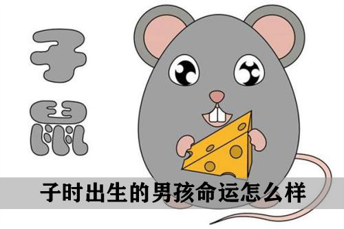 子时出生的男孩命运怎麽样