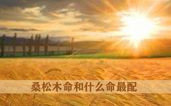 桑松木命是什麽意思 桑松木命和什麽命最配