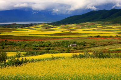 八字命理:盲人断命的金钥匙