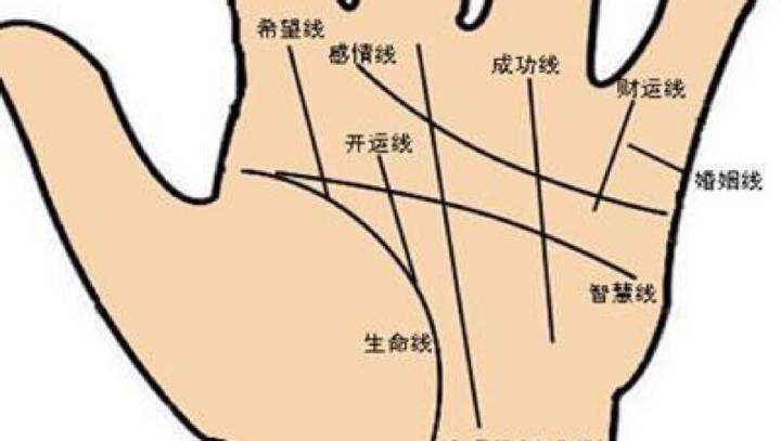 财运线是什麽 财运线怎麽看