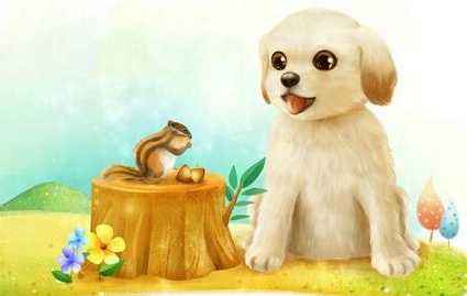 木狗命是什麽 木狗命的人缺什麽