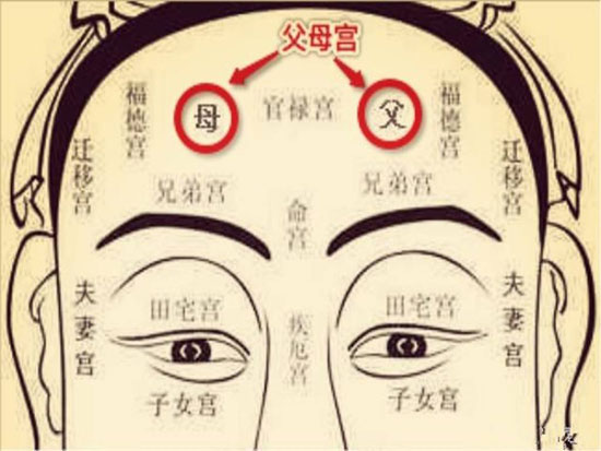 父母宫无主星命理解析 父母宫无主星命理解析