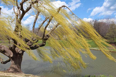 八字命理:盲人断命的金钥匙