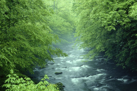 八字无印星代表什么意思