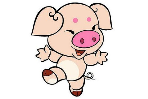 1995年生肖猪五行属什么？