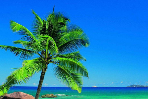 农历十七出生的人好不好