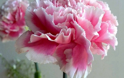 2020年母亲节前一天-四月十七不宜祈福吗,歌颂母亲的古诗(图文)