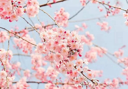 2020年农历闰四月的节气,2020闰四月会不会下雨?(图文)