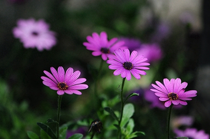 2020年农历闰四月开工吉日,2020闰四月是几号到几号?(图文)