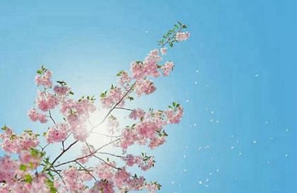 2020年四月二十护士节是出行吉日吗,护士节是为了纪念谁?(图文)