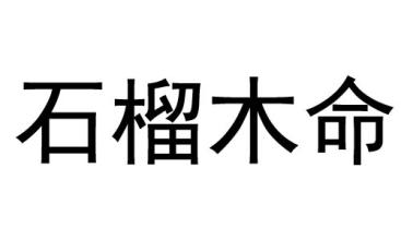 天上火和石榴木的人配吗 在一起会怎麽样