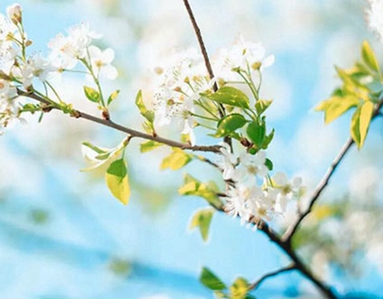 2020年农历闰四月开工吉日,2020闰四月是几号到几号?(图文)