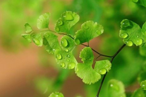 五行缺土的人感情分析