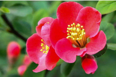 注定做大事的出生时辰