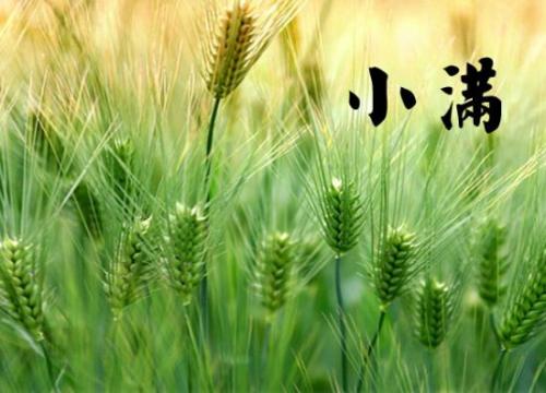 2020年小满节气喜神方位查询 代表新娘坐立方吗？(图文)