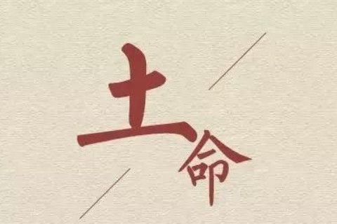 土命跟什么命比较配？