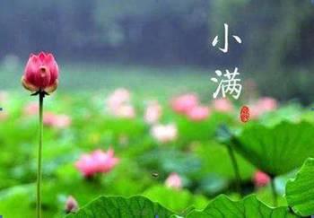 2020年小满节气禁忌、宜忌事项有哪些 是四废日吗？(图文)
