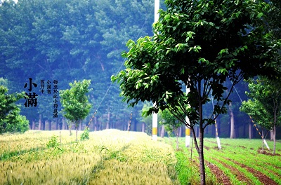 2020年小满节气可以理发吗？理发有哪些注意事项和禁忌？(图文)