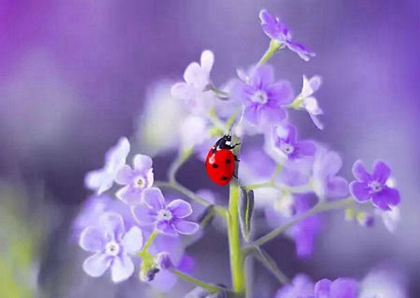 2020年阴历四月二十四(5月16日)是出行出远门吉日吗?(图文)