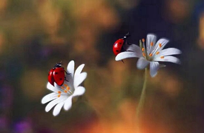 2020年阴历四月二十四(5月16日)是出行出远门吉日吗?(图文)