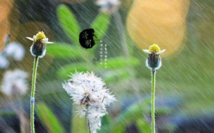 清明节烧纸要在十字路口吗,2020清明节后一天上坟好吗？(图文)