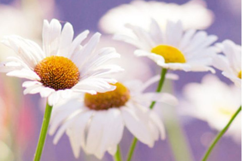 几月出生的大溪水命是富贵命