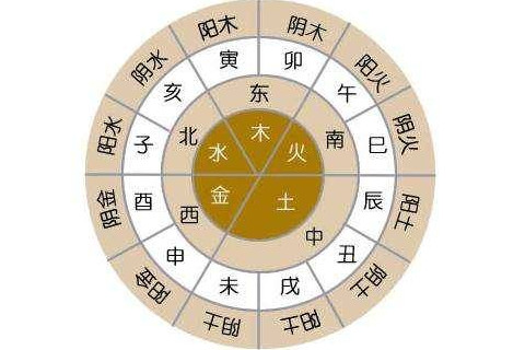壬辰年的人五行属什么？