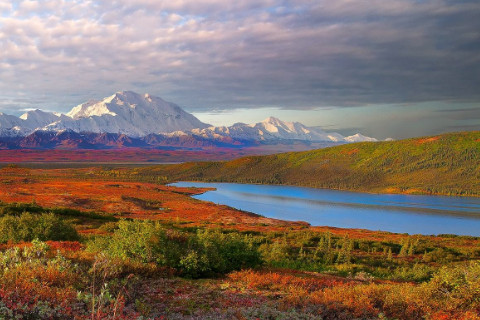 八字无官杀的女人运势分析