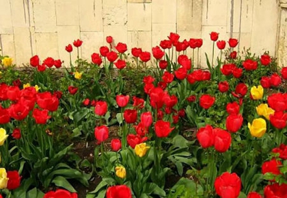 2020年阴历四月二十四(5月16日)是出行出远门吉日吗?(图文)