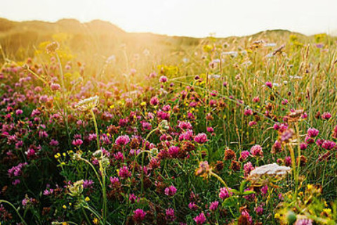 农历十六出生的人好不好