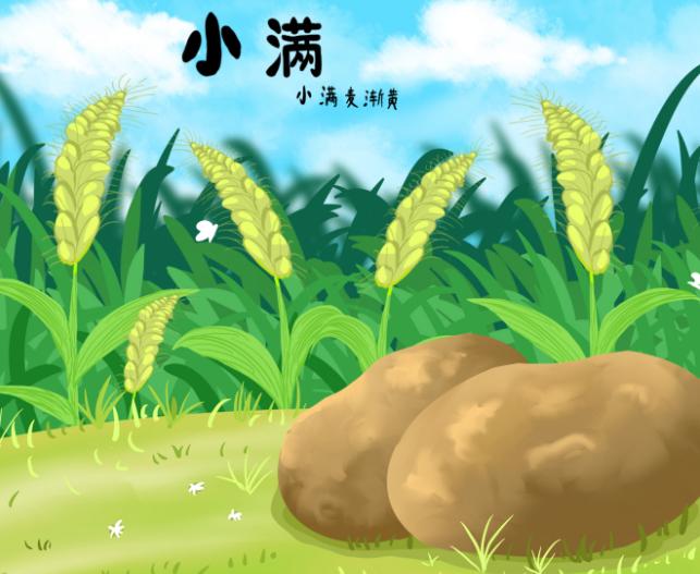2020年小满是什么日子,小满节气的天气特点解析！(图文)