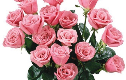 2020年5月9日母亲节前一天出行好吗,5月份疫情结束了吗(图文)