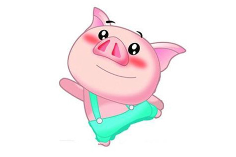 属猪的男孩出生吉日