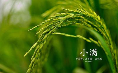 小满节气有什么禁忌 小满是二十四节气的第几节气？(图文)