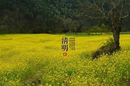 2020年今天清明节修坟好不好,清明节扫墓烧什么纸？(图文)