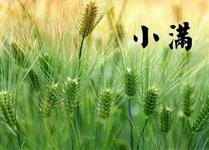 2020年小满前一天结婚好吗,2020小满几时开始几时结束(图文)