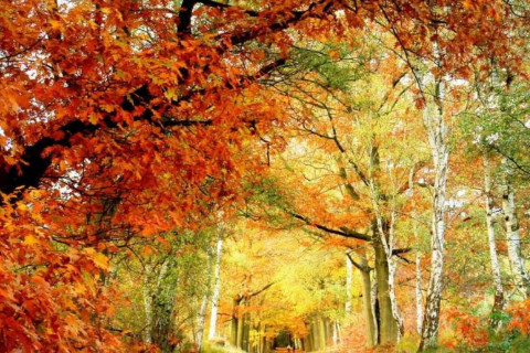 命中八字无财的人怎么样?