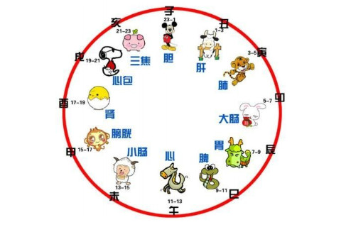 出生时辰属相配对表