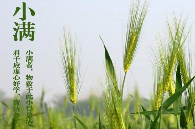 2020年小满节气黄历日子什么冲什么 冲煞是什么？(图文)