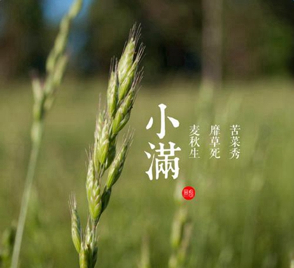 2020年小满订婚好吗,2020年小满当天会不会下雨？(图文)