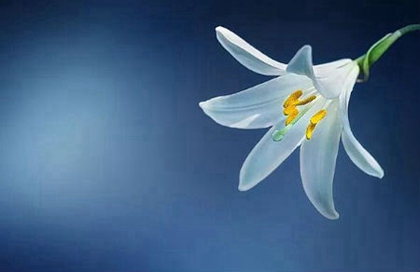 2020年四月二十护士节是出行吉日吗,护士节是为了纪念谁?(图文)