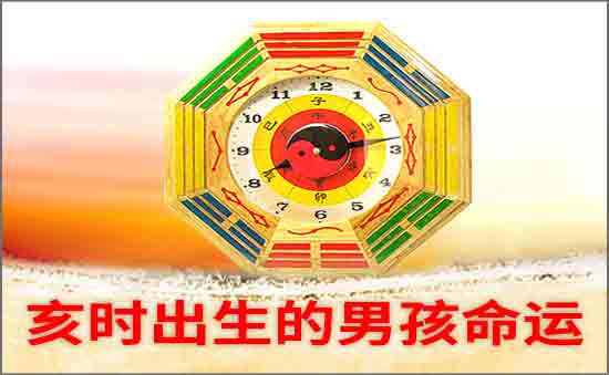亥时出生的男孩好不好