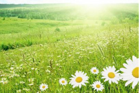 农历十八日出生的人运势分析