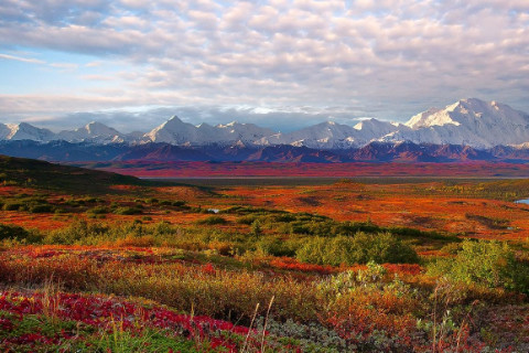 旺夫运强的八字解析