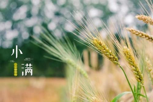 2020年小满（5月20日）财神方位在哪里 方位风水说！(图文)