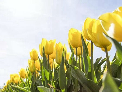 2020年阴历四月廿五出行好吗,今天是出远门吉日吗?(图文)