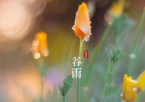 谷雨—三月中气出生的人代表什么 是喜土命吗？(图文)