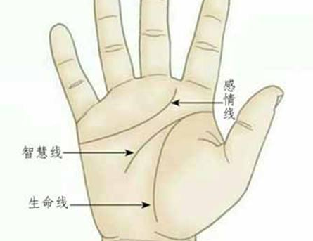 掌纹算命