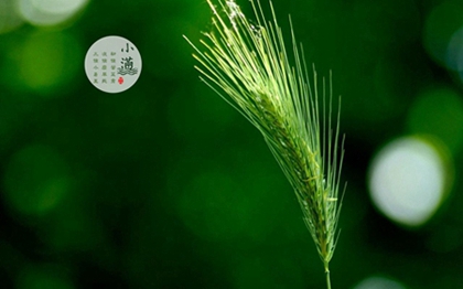 2020年小满前一天四月廿七装修好吗,小满几月几日2020？(图文)